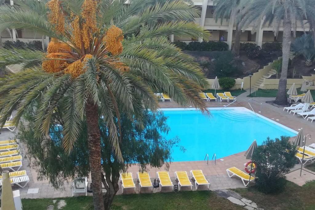 Maspalomas Sandy Beach Apartment Playa del Inglés Eksteriør bilde